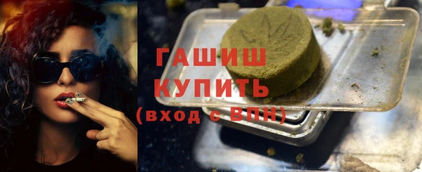 spice Инта