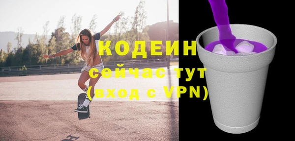 spice Инта