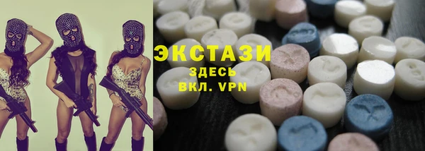 spice Инта