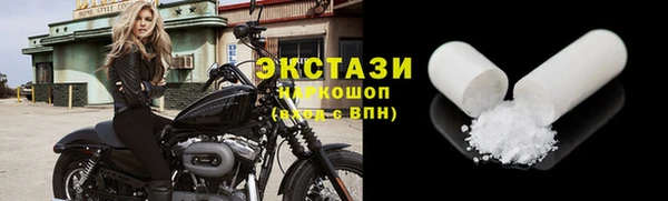 spice Инта