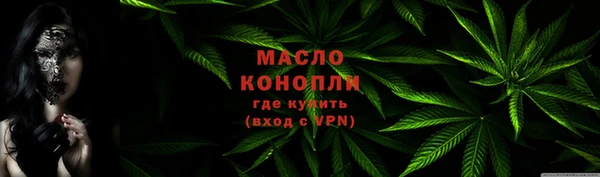 spice Инта