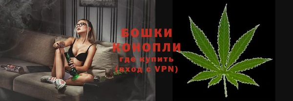 spice Инта