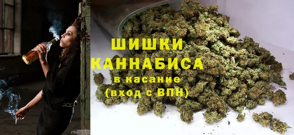 spice Инта