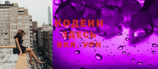 spice Инта