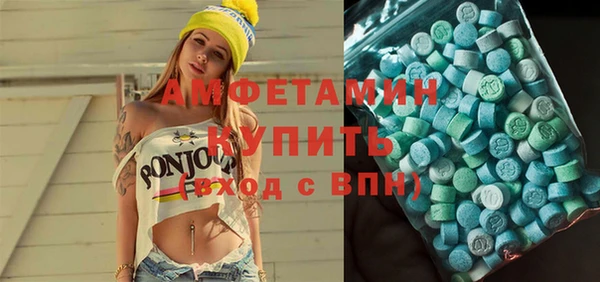 spice Инта