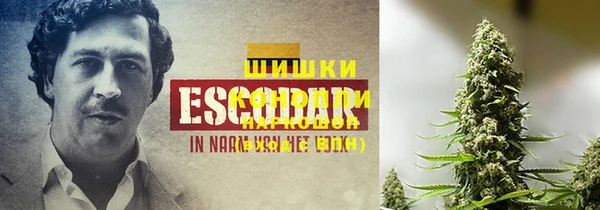 трава Иннополис