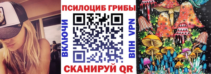 Псилоцибиновые грибы мицелий  Купить  Егорьевск 